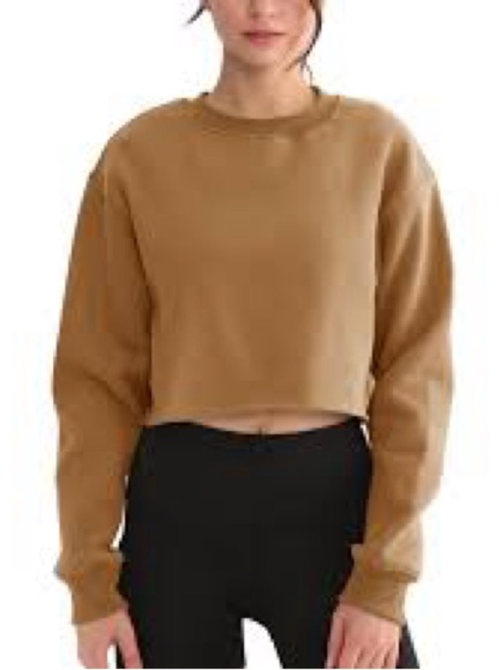 Gilded Intent Cropped Crewneck Sweatshirt in Camel Brown
